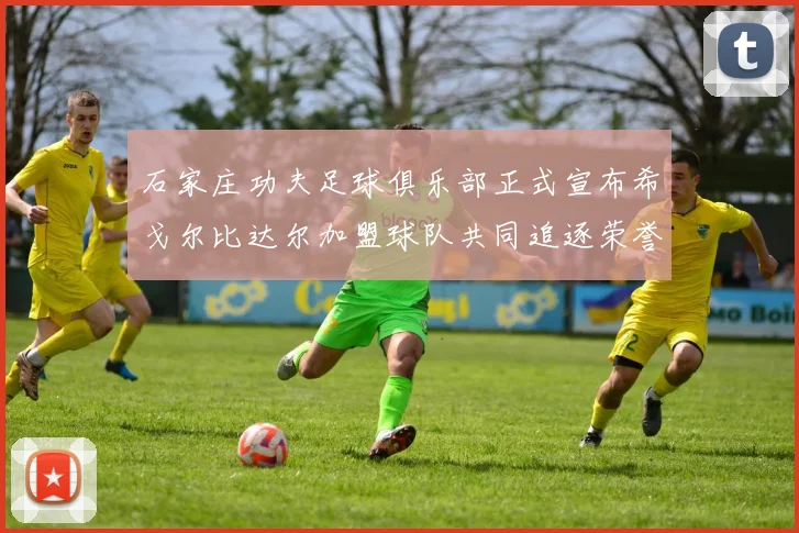 石家庄功夫足球俱乐部正式宣布希戈尔比达尔加盟球队共同追逐荣誉
