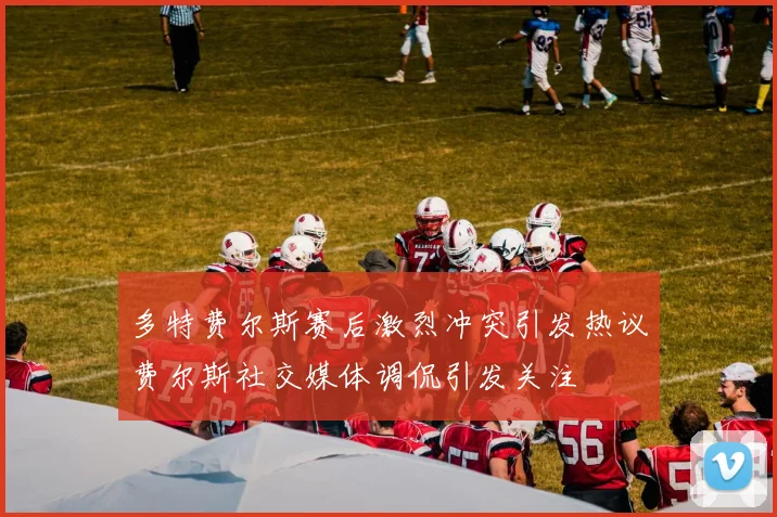 多特费尔斯赛后激烈冲突引发热议费尔斯社交媒体调侃引发关注