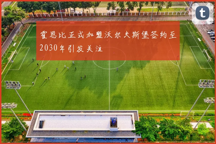 霍恩比正式加盟沃尔夫斯堡签约至2030年引发关注
